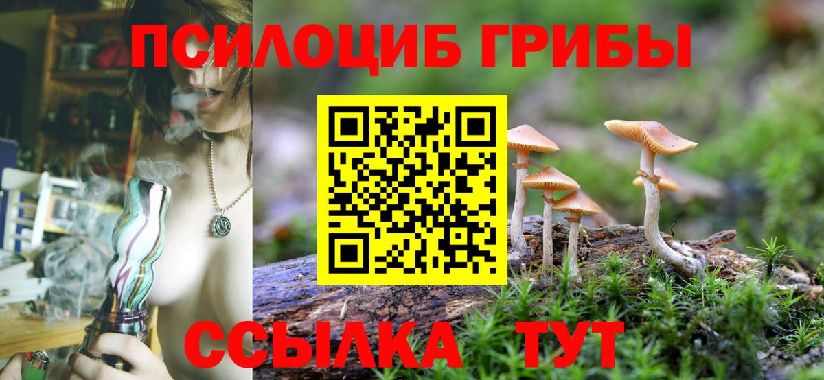 Псилоцибиновые грибы Cubensis  Вход с VPN  Верхняя Салда  Псилоцибиновые грибы Psilocybine cubensis 