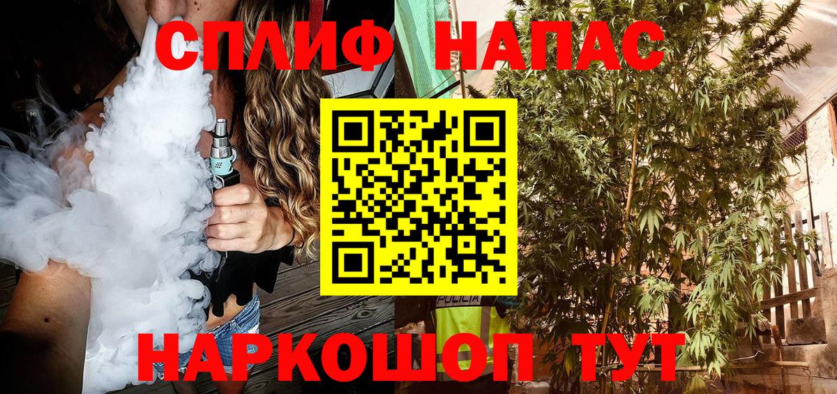 Каннабис планчик  Конопля семена  Верхняя Салда  Канабис тримм  Вход с VPN 